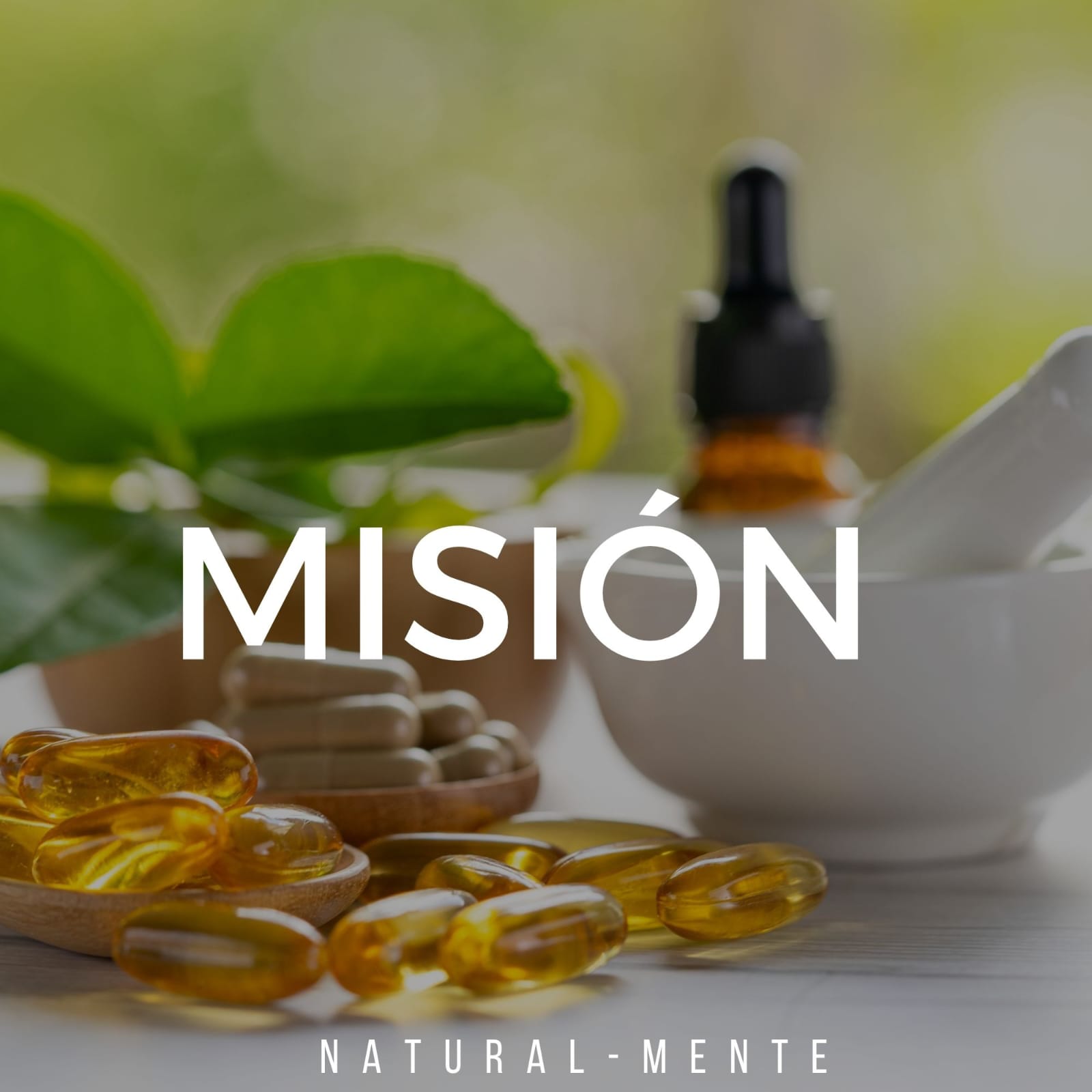 mision