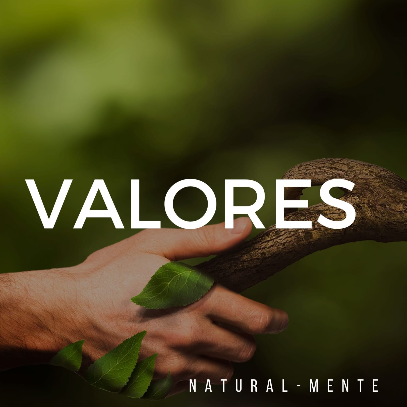 valores