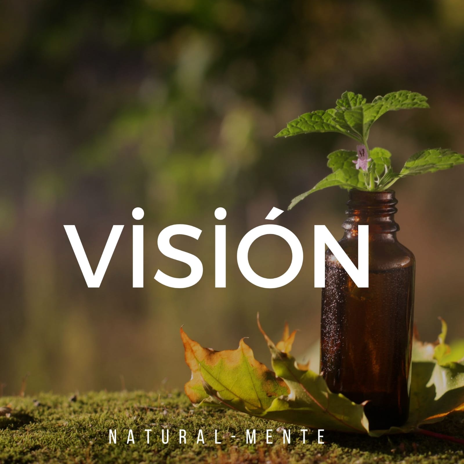 vision